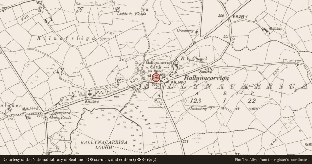 Ordnance Survey six-inch map, 2nd edition (1888–1915) covering the location of Sheela-na-gig, Ballynacarriga, County Cork, with a pin at the register's coordinates