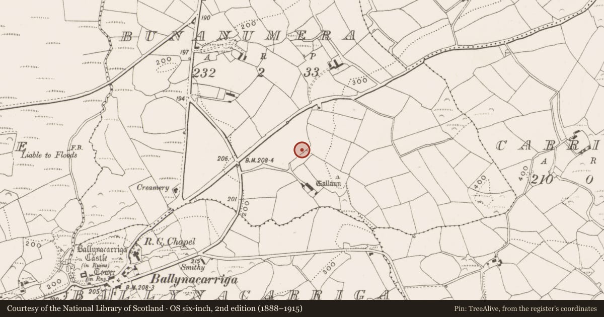 Ordnance Survey six-inch map, 2nd edition (1888–1915) covering the location of Fulacht fia, Bunanumera, County Cork, with a pin at the register's coordinates