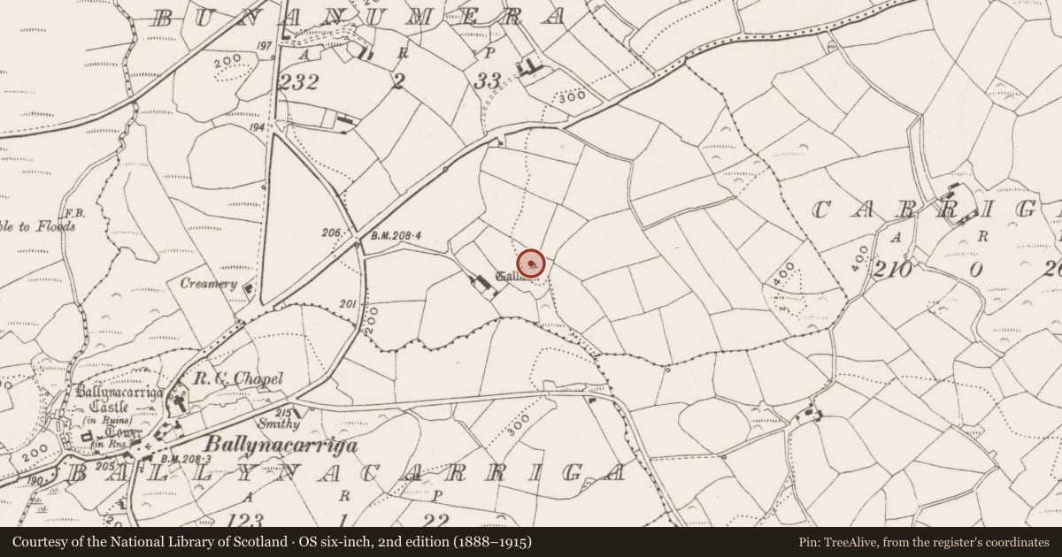 Ordnance Survey six-inch map, 2nd edition (1888–1915) covering the location of Standing stone, Bunanumera, County Cork, with a pin at the register's coordinates