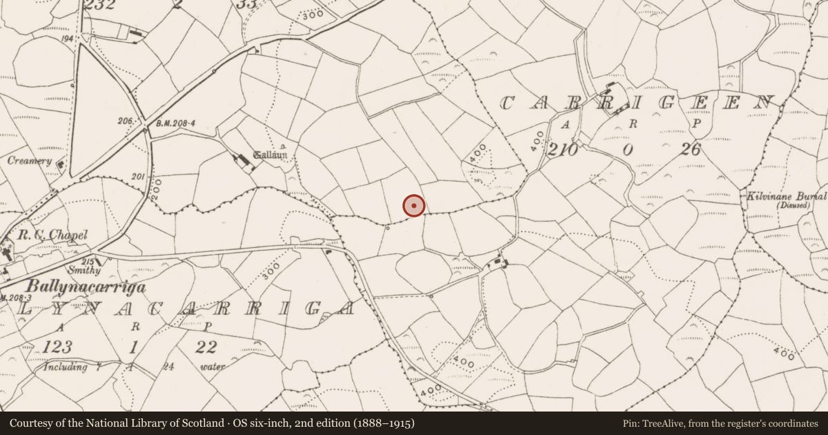 Ordnance Survey six-inch map, 2nd edition (1888–1915) covering the location of Ringfort - rath, Bunanumera, County Cork, with a pin at the register's coordinates