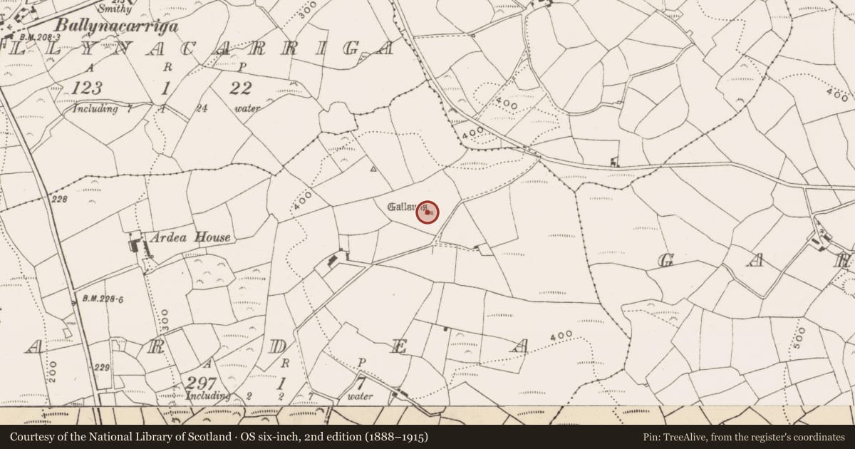 Ordnance Survey six-inch map, 2nd edition (1888–1915) covering the location of Anomalous stone group, Ardea, County Cork, with a pin at the register's coordinates