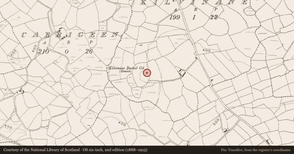 Ordnance Survey six-inch map, 2nd edition (1888–1915) covering the location of Burial ground, Kilvinane, County Cork, with a pin at the register's coordinates