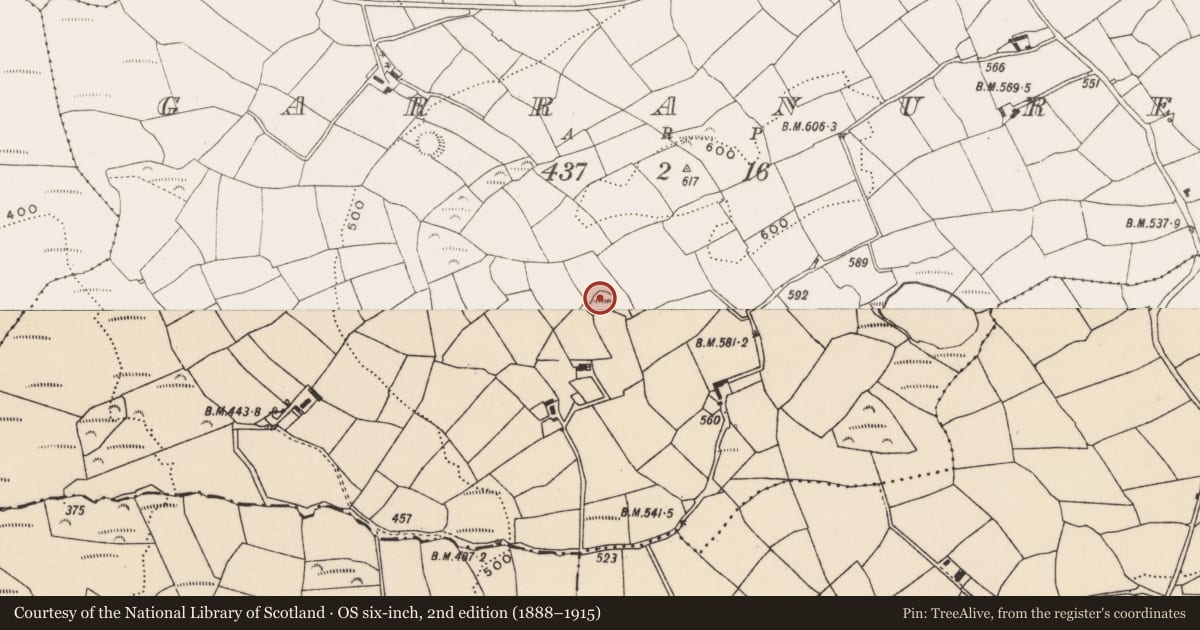 Ordnance Survey six-inch map, 2nd edition (1888–1915) covering the location of Ringfort - rath, Garranure, County Cork, with a pin at the register's coordinates