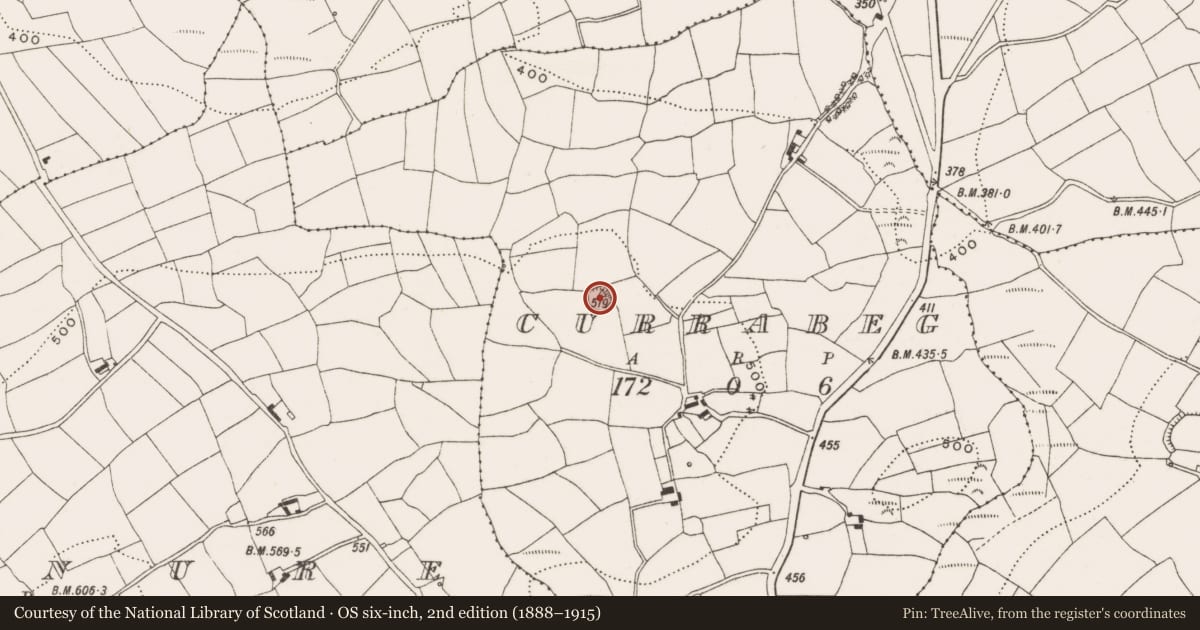 Ordnance Survey six-inch map, 2nd edition (1888–1915) covering the location of Ringfort - rath, Currabeg, County Cork, with a pin at the register's coordinates