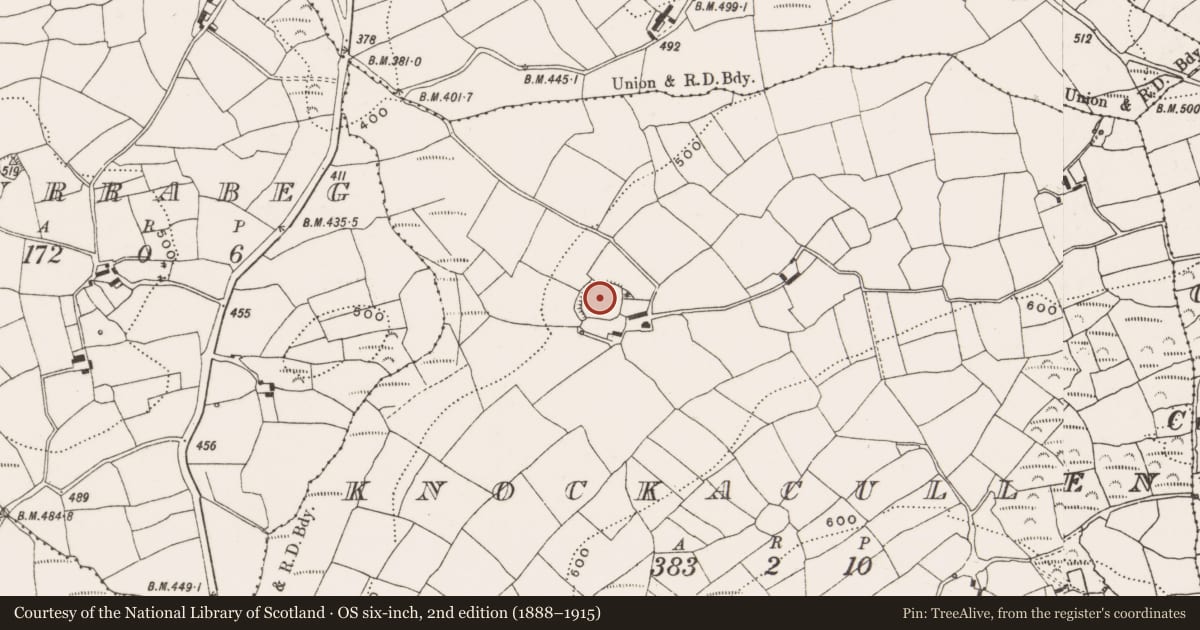 Ordnance Survey six-inch map, 2nd edition (1888–1915) covering the location of Enclosure, Knockacullen, County Cork, with a pin at the register's coordinates