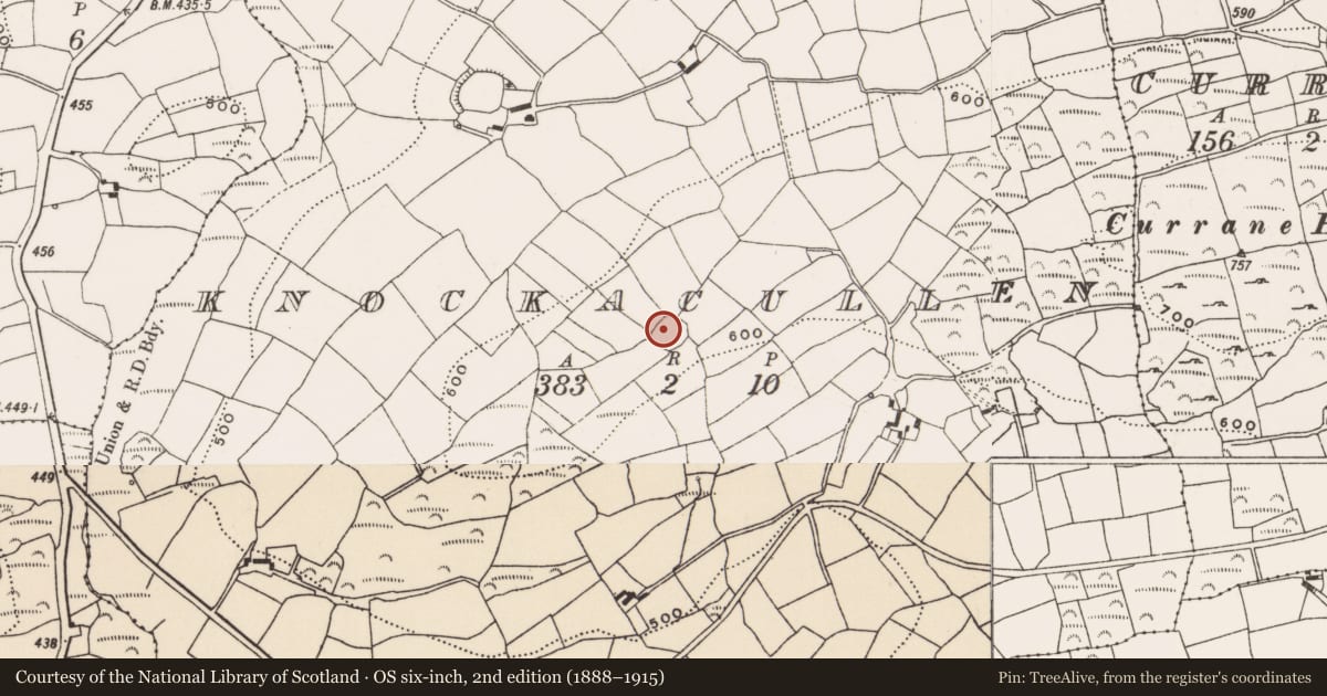 Ordnance Survey six-inch map, 2nd edition (1888–1915) covering the location of Ringfort - rath, Knockacullen, County Cork, with a pin at the register's coordinates