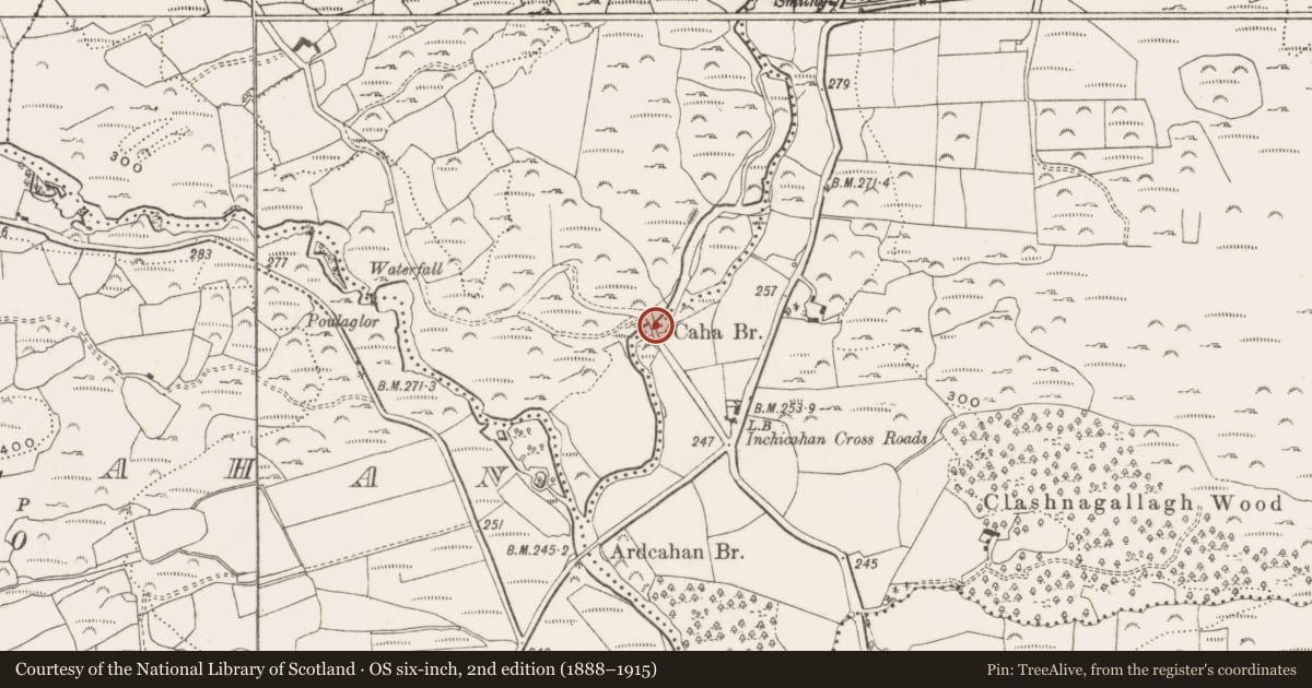 Ordnance Survey six-inch map, 2nd edition (1888–1915) covering the location of Bridge, Ardcahan, Gortanure, County Cork, with a pin at the register's coordinates