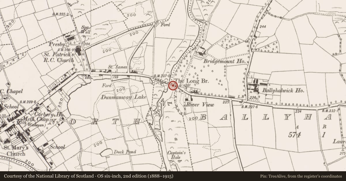 Ordnance Survey six-inch map, 2nd edition (1888–1915) covering the location of Bridge, County Cork, with a pin at the register's coordinates