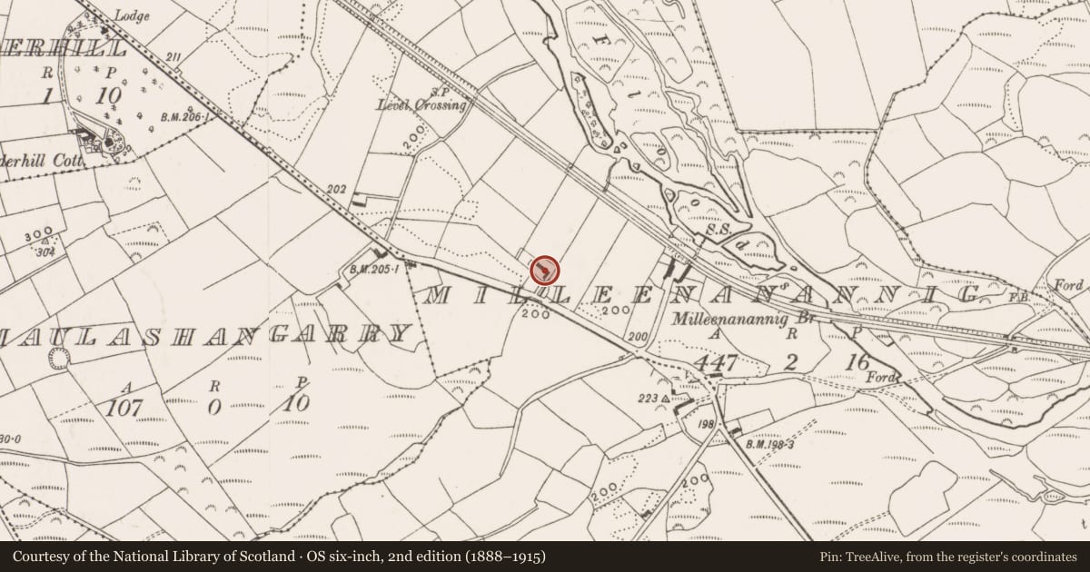 Ordnance Survey six-inch map, 2nd edition (1888–1915) covering the location of Mill - bleaching, Milleenanannig, County Cork, with a pin at the register's coordinates