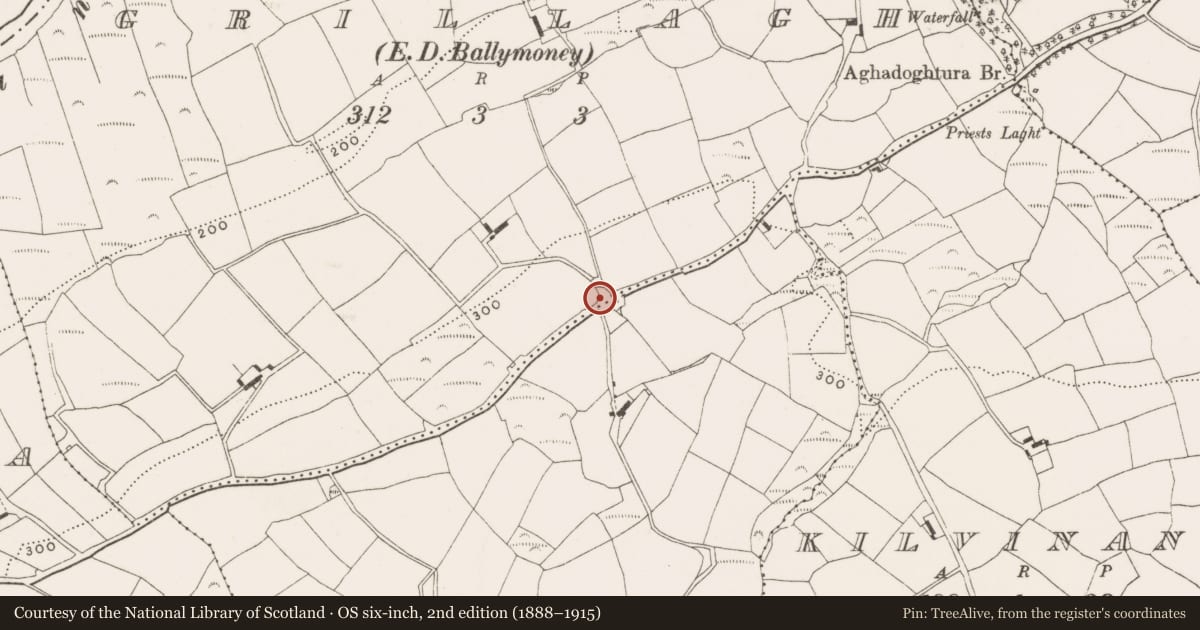 Ordnance Survey six-inch map, 2nd edition (1888–1915) covering the location of Church, Grillagh (Carbery East By., Ballymoney Par.), County Cork, with a pin at the register's coordinates