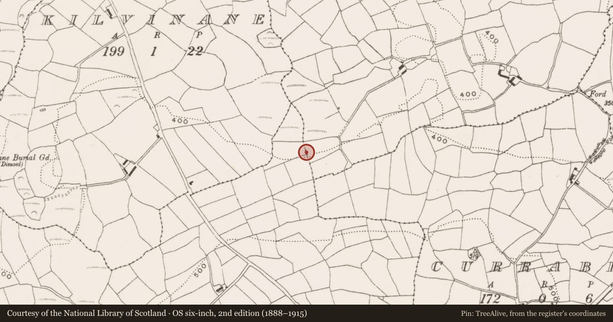 Ordnance Survey six-inch map, 2nd edition (1888–1915) covering the location of Burial ground, Buddrimeen, County Cork, with a pin at the register's coordinates