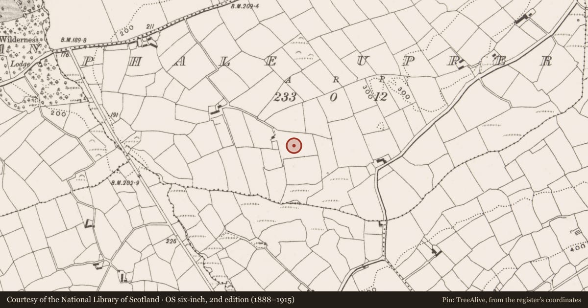 Ordnance Survey six-inch map, 2nd edition (1888–1915) covering the location of Ringfort - rath, Phale Upper, County Cork, with a pin at the register's coordinates
