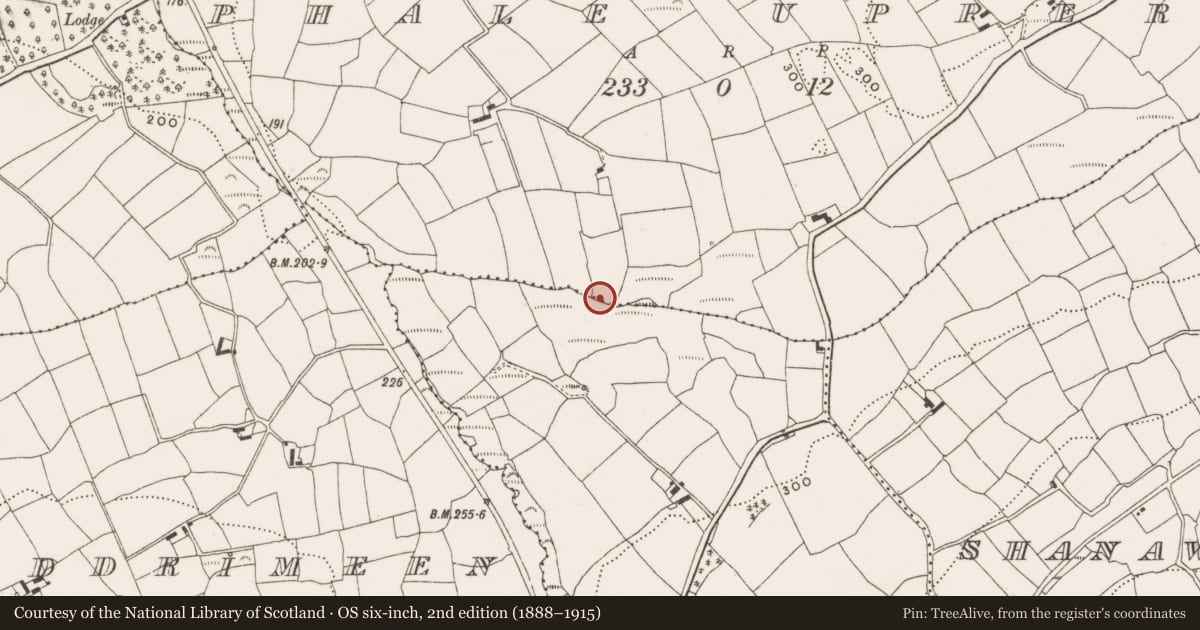 Ordnance Survey six-inch map, 2nd edition (1888–1915) covering the location of Fulacht fia, Phale Upper, County Cork, with a pin at the register's coordinates