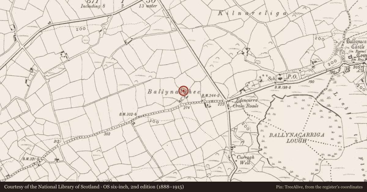 Ordnance Survey six-inch map, 2nd edition (1888–1915) covering the location of Children's burial ground, Inchafune, County Cork, with a pin at the register's coordinates