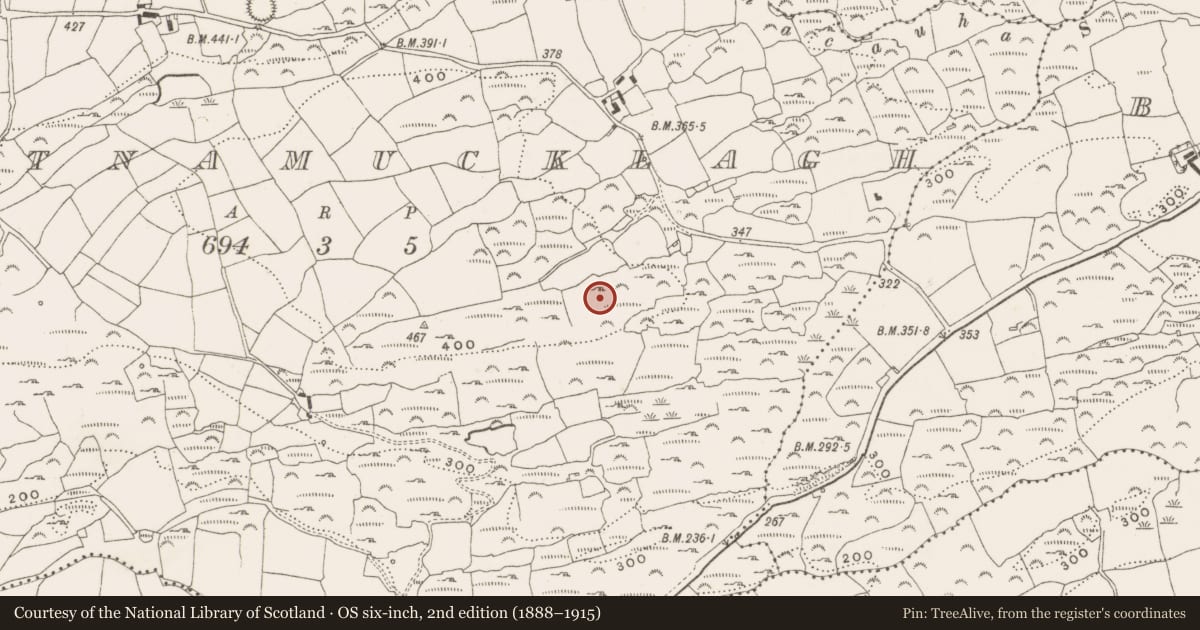 Ordnance Survey six-inch map, 2nd edition (1888–1915) covering the location of Mass-rock, Gortnamucklagh, County Cork, with a pin at the register's coordinates