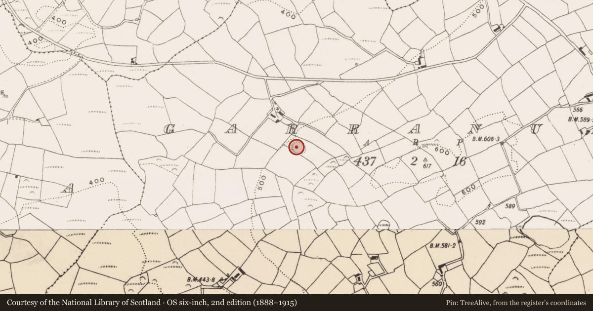 Ordnance Survey six-inch map, 2nd edition (1888–1915) covering the location of Souterrain, Garranure, County Cork, with a pin at the register's coordinates
