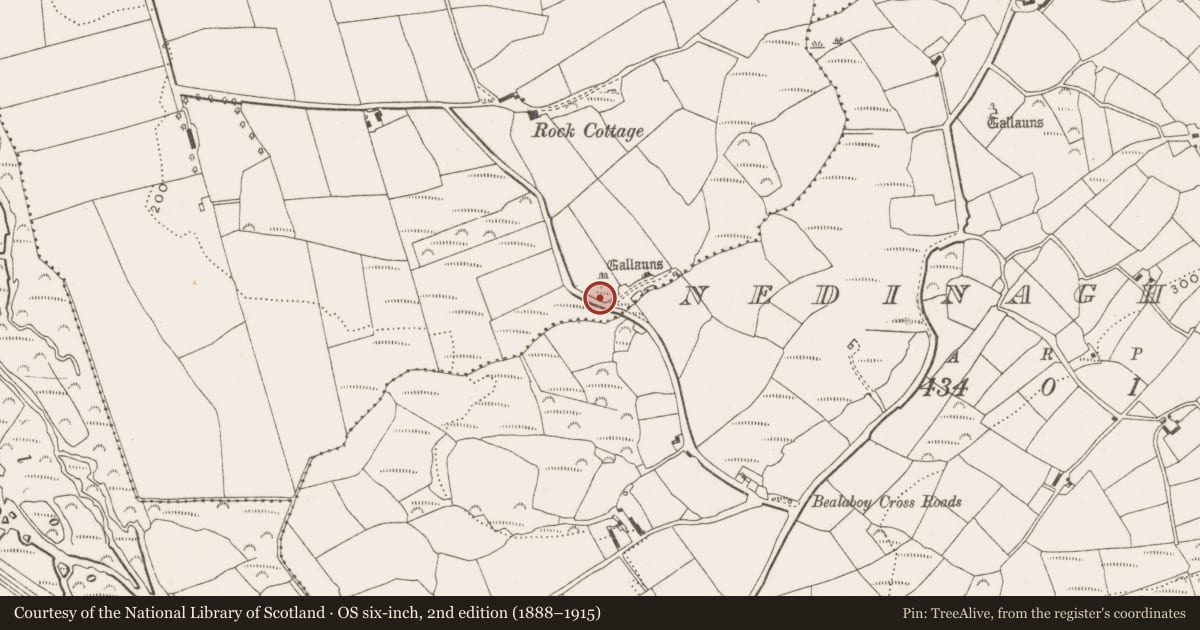 Ordnance Survey six-inch map, 2nd edition (1888–1915) covering the location of Pit, Ballyhalwick, County Cork, with a pin at the register's coordinates