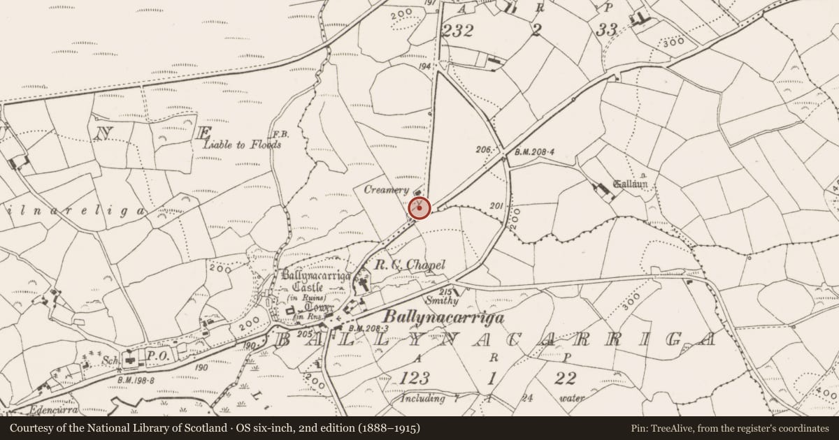 Ordnance Survey six-inch map, 2nd edition (1888–1915) covering the location of Children's burial ground, Bunanumera, County Cork, with a pin at the register's coordinates