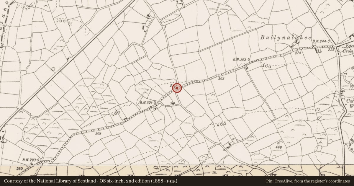 Ordnance Survey six-inch map, 2nd edition (1888–1915) covering the location of Children's burial ground, Inchafune, County Cork, with a pin at the register's coordinates