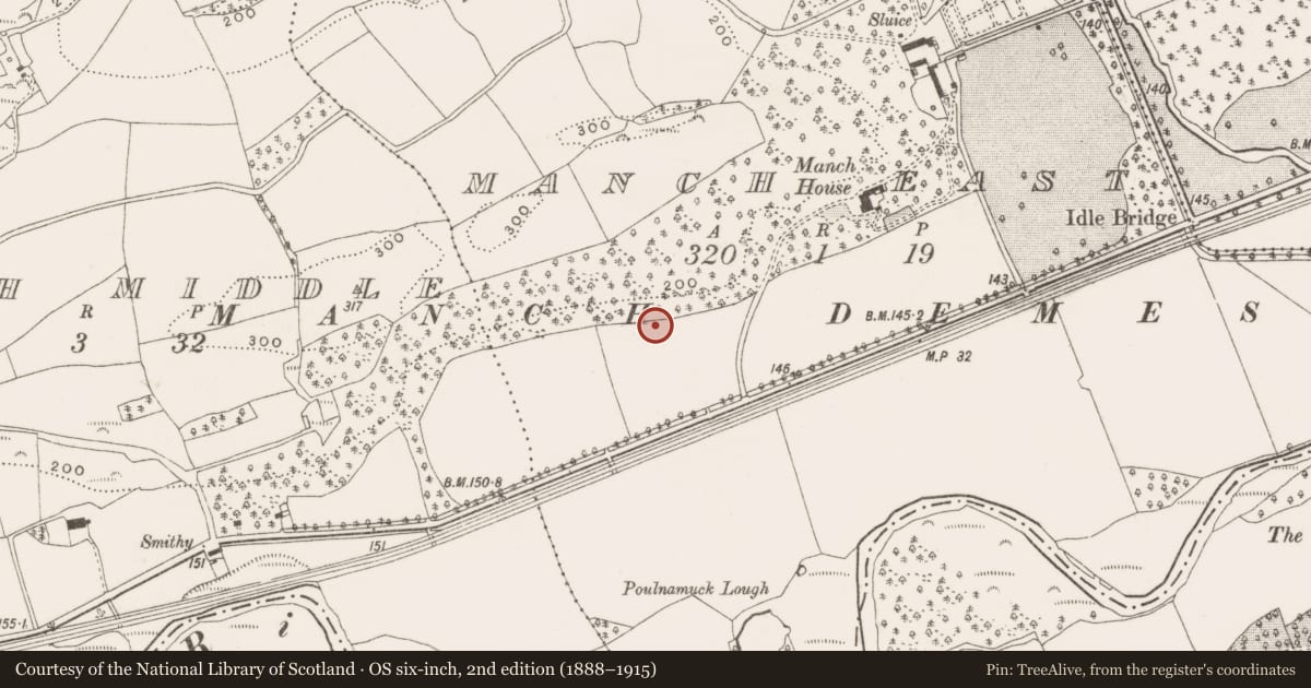 Ordnance Survey six-inch map, 2nd edition (1888–1915) covering the location of Burnt mound, Manch East, County Cork, with a pin at the register's coordinates