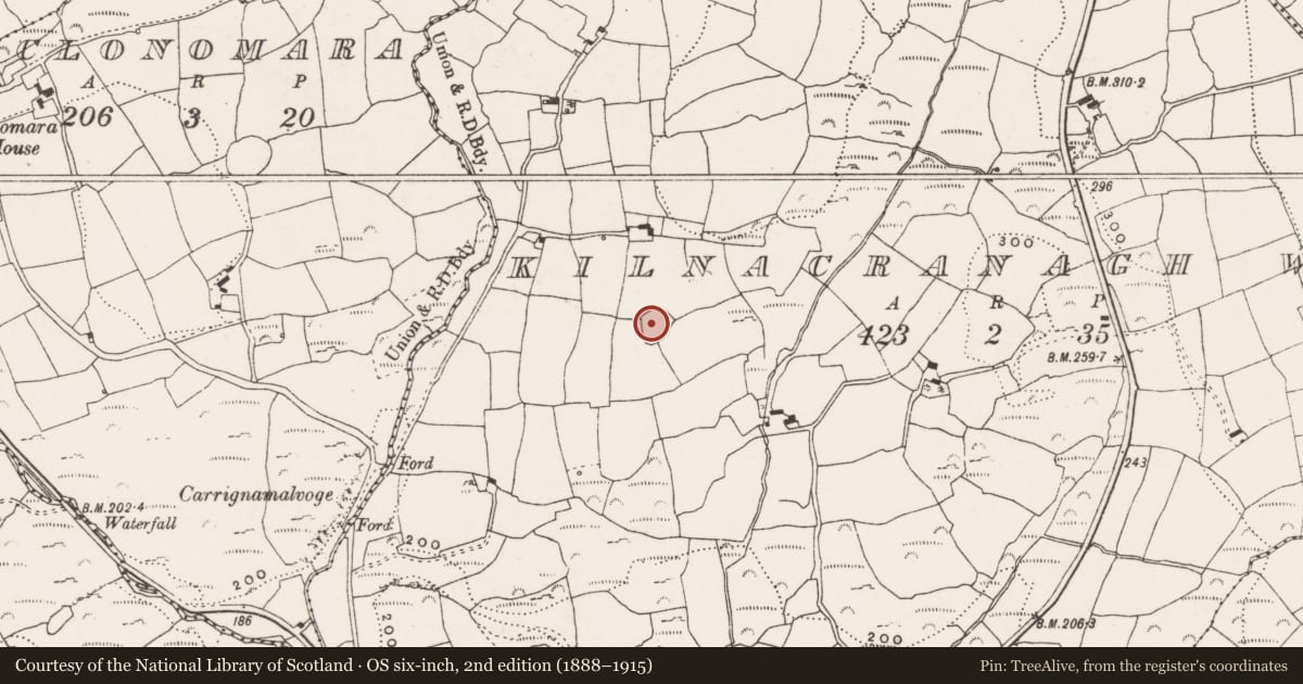 Ordnance Survey six-inch map, 2nd edition (1888–1915) covering the location of Ringfort - cashel, Kilnacranagh West, County Cork, with a pin at the register's coordinates