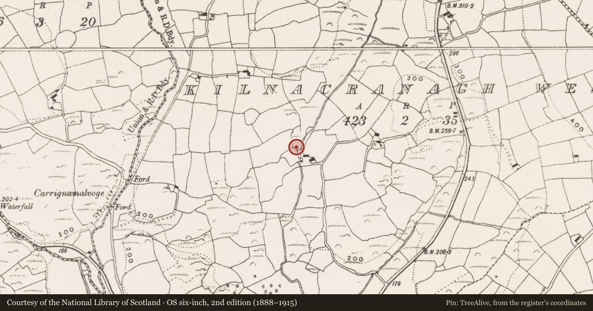 Ordnance Survey six-inch map, 2nd edition (1888–1915) covering the location of Fulacht fia, Kilnacranagh West, County Cork, with a pin at the register's coordinates