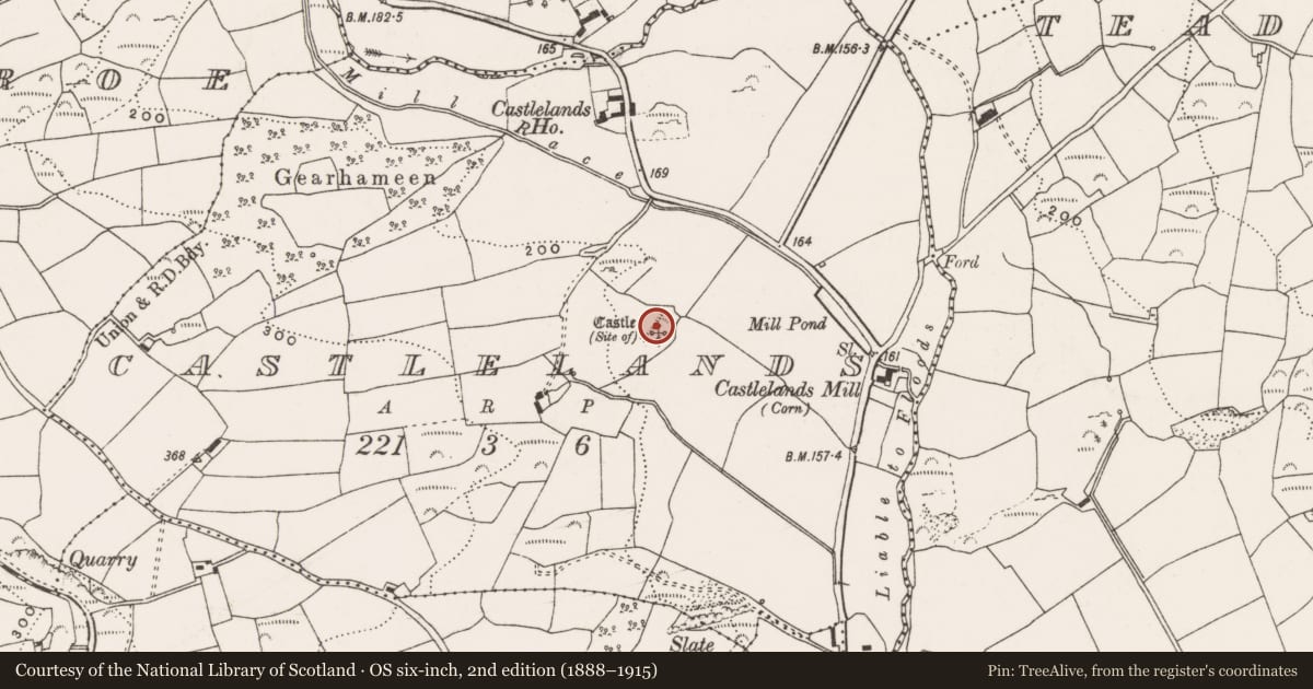 Ordnance Survey six-inch map, 2nd edition (1888–1915) covering the location of Castle - Anglo-Norman masonry castle, Castlelands, County Cork, with a pin at the register's coordinates