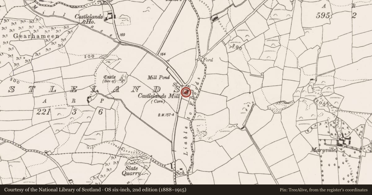 Ordnance Survey six-inch map, 2nd edition (1888–1915) covering the location of Mill - paper, Castlelands, County Cork, with a pin at the register's coordinates