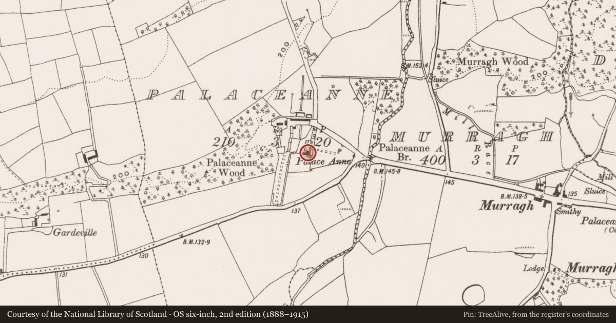 Ordnance Survey six-inch map, 2nd edition (1888–1915) covering the location of Country house, Palaceanne, County Cork, with a pin at the register's coordinates