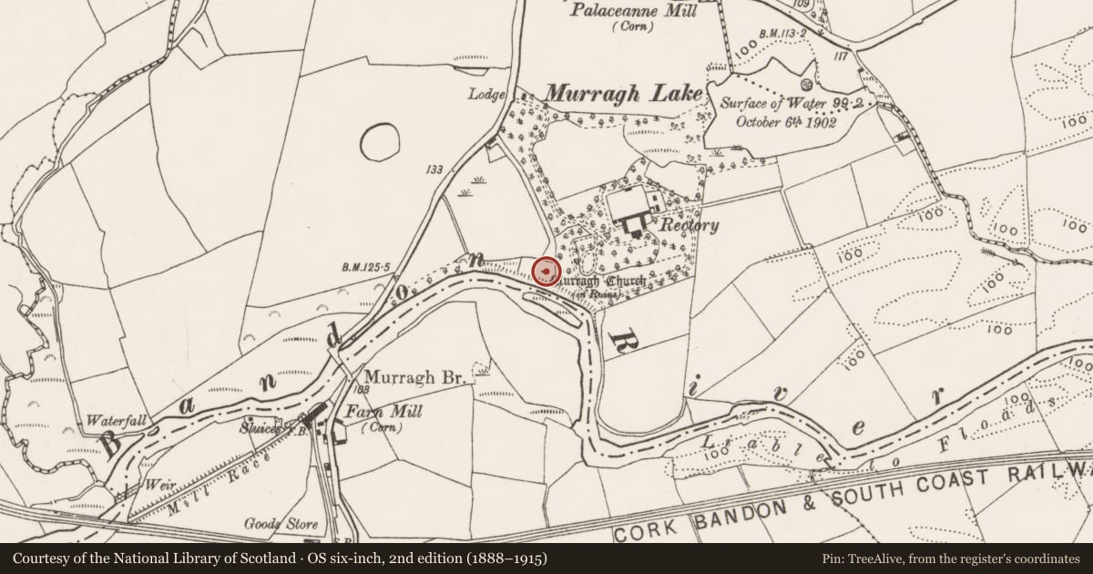 Ordnance Survey six-inch map, 2nd edition (1888–1915) covering the location of Church, Murragh, County Cork, with a pin at the register's coordinates