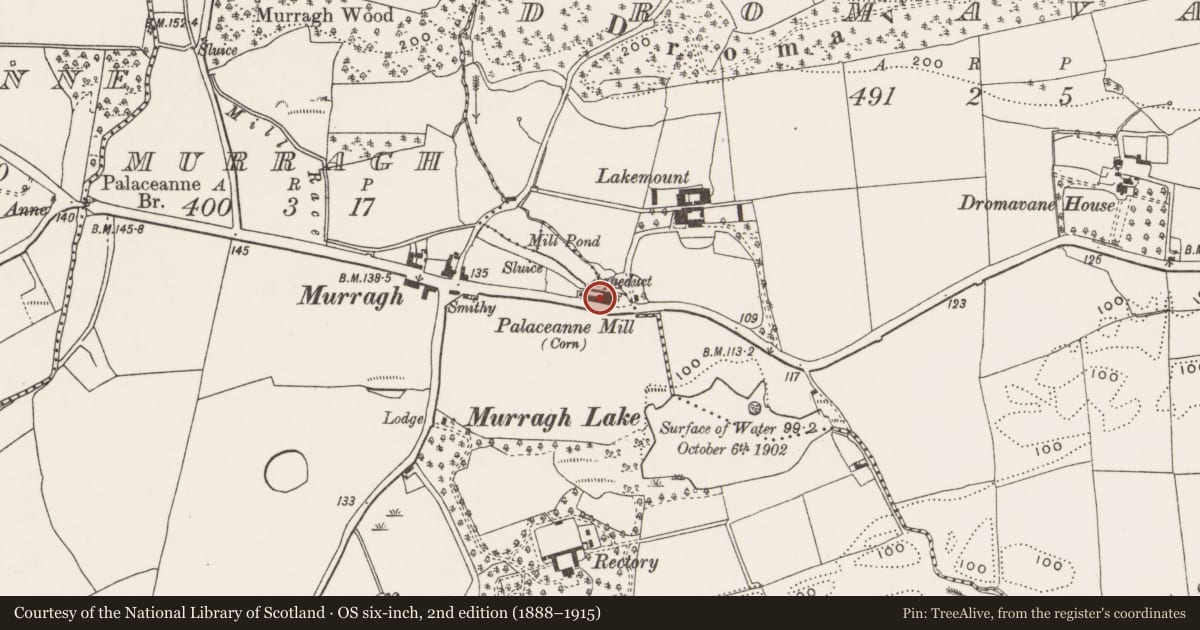 Ordnance Survey six-inch map, 2nd edition (1888–1915) covering the location of Mill - corn, Murragh, County Cork, with a pin at the register's coordinates