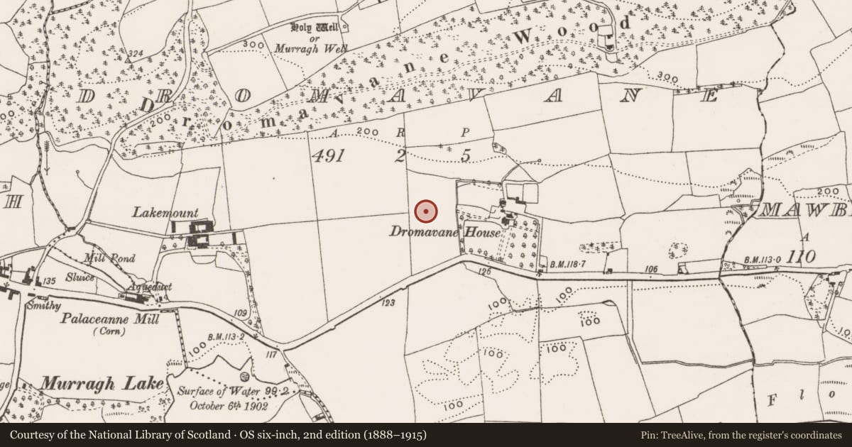 Ordnance Survey six-inch map, 2nd edition (1888–1915) covering the location of Standing stone, Dromavane, County Cork, with a pin at the register's coordinates