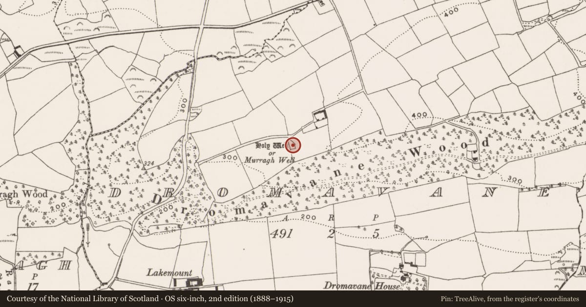 Ordnance Survey six-inch map, 2nd edition (1888–1915) covering the location of Ritual site - holy well, Dromavane, County Cork, with a pin at the register's coordinates