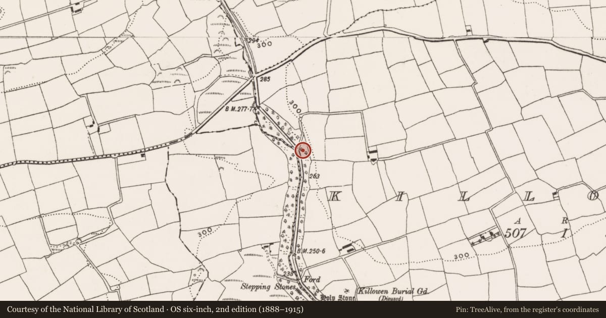 Ordnance Survey six-inch map, 2nd edition (1888–1915) covering the location of Ritual site - holy well, Killowen, County Cork, with a pin at the register's coordinates