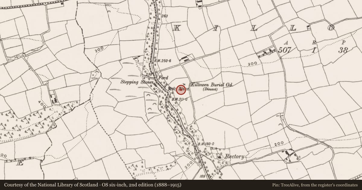Ordnance Survey six-inch map, 2nd edition (1888–1915) covering the location of Burial ground, Killowen, County Cork, with a pin at the register's coordinates