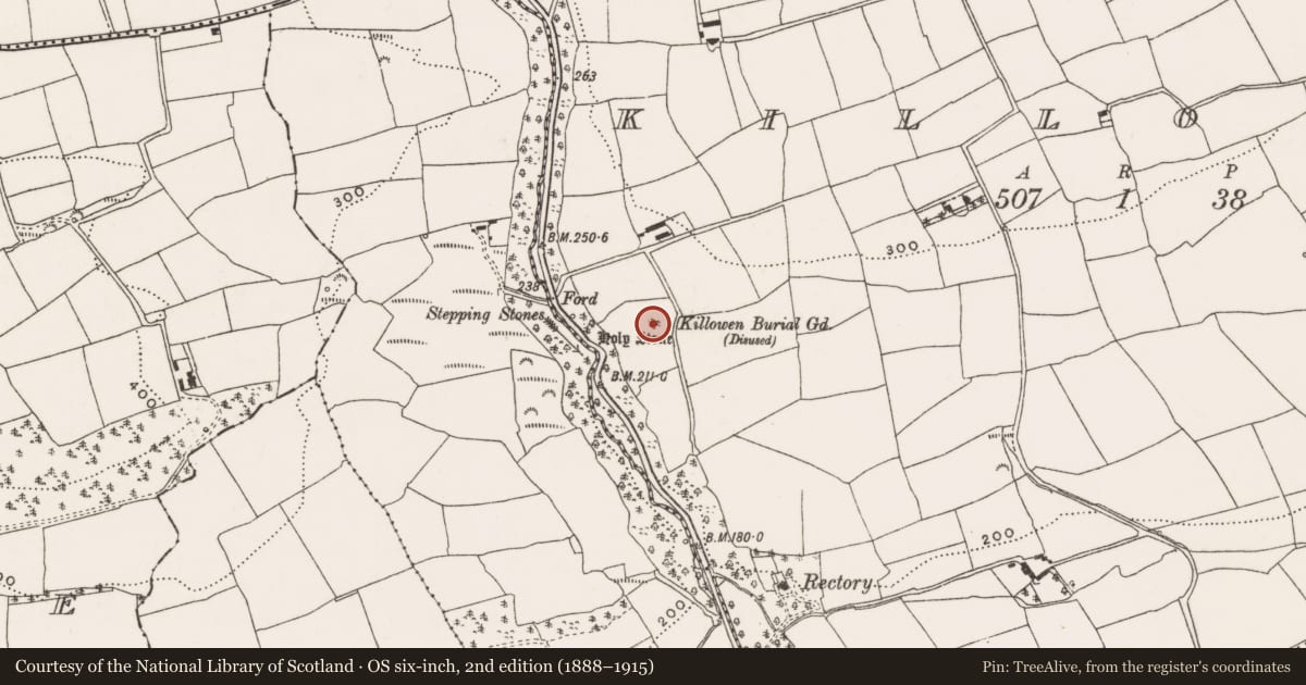 Ordnance Survey six-inch map, 2nd edition (1888–1915) covering the location of Standing stone, Killowen, County Cork, with a pin at the register's coordinates