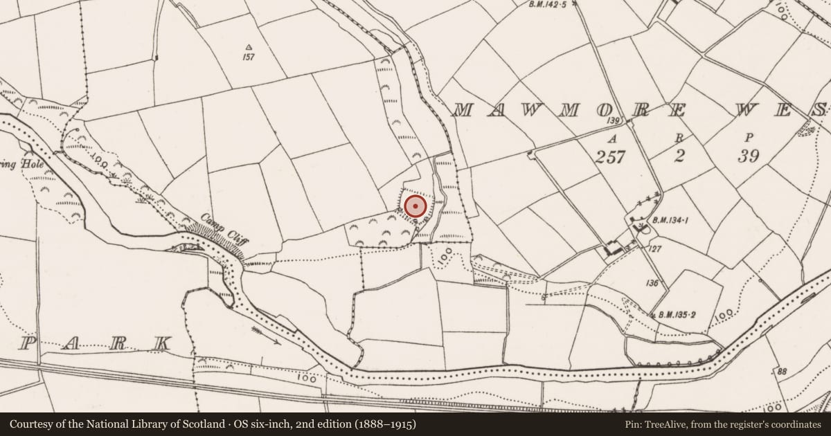 Ordnance Survey six-inch map, 2nd edition (1888–1915) covering the location of Moated site, Mawbeg East, County Cork, with a pin at the register's coordinates