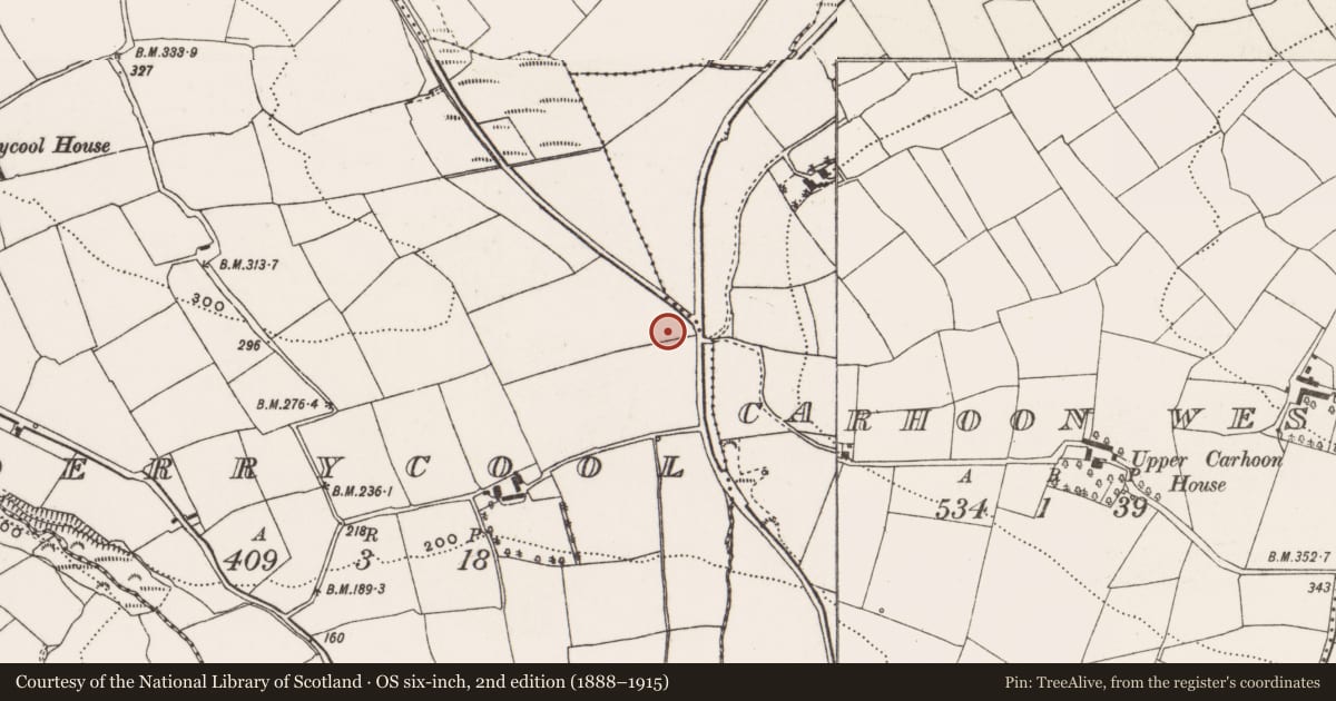 Ordnance Survey six-inch map, 2nd edition (1888–1915) covering the location of Anomalous stone group, Derrycool, County Cork, with a pin at the register's coordinates