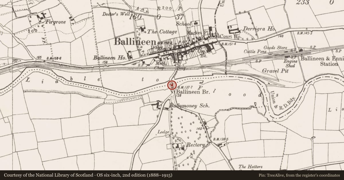 Ordnance Survey six-inch map, 2nd edition (1888–1915) covering the location of Bridge, County Cork, with a pin at the register's coordinates