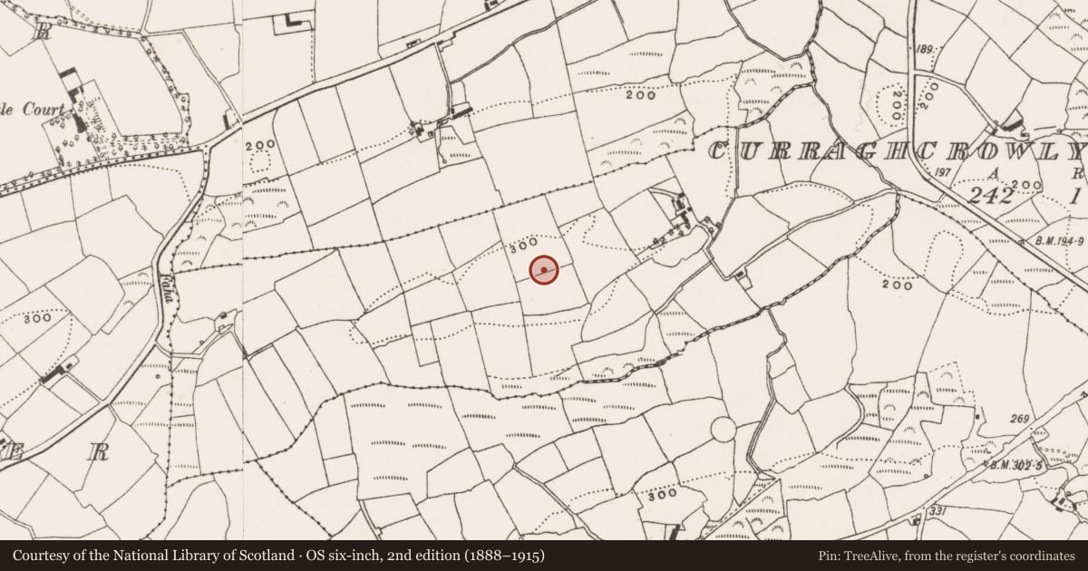 Ordnance Survey six-inch map, 2nd edition (1888–1915) covering the location of Souterrain, Curraghcrowly West, County Cork, with a pin at the register's coordinates