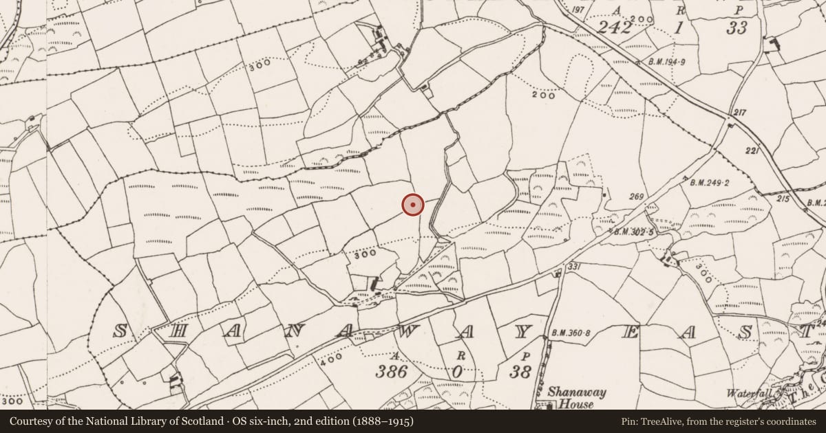 Ordnance Survey six-inch map, 2nd edition (1888–1915) covering the location of Ringfort - rath, Shanaway East, County Cork, with a pin at the register's coordinates