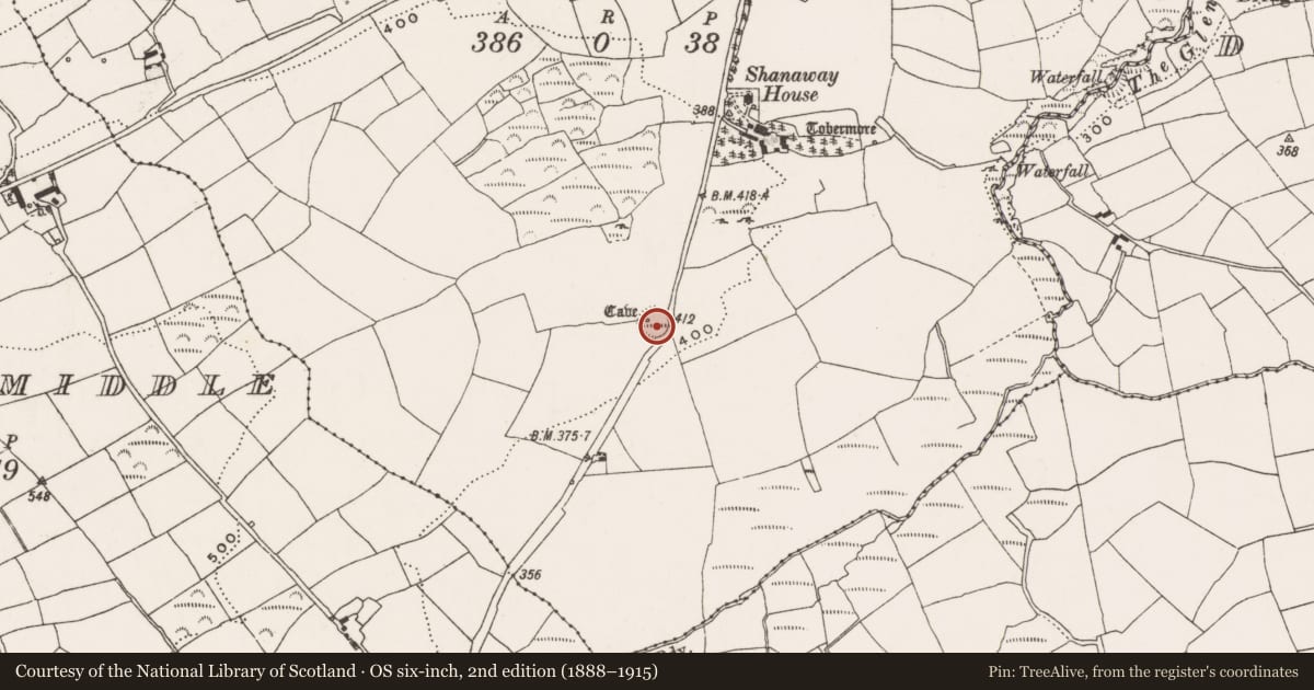 Ordnance Survey six-inch map, 2nd edition (1888–1915) covering the location of Ringfort - rath, Shanaway East, County Cork, with a pin at the register's coordinates