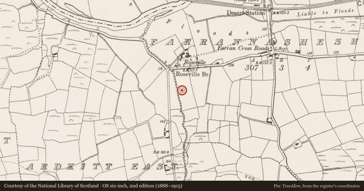 Ordnance Survey six-inch map, 2nd edition (1888–1915) covering the location of Fulacht fia, Farrannasheshery, County Cork, with a pin at the register's coordinates