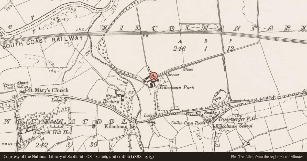 Ordnance Survey six-inch map, 2nd edition (1888–1915) covering the location of Mill - unclassified, Kilcolmanpark, County Cork, with a pin at the register's coordinates