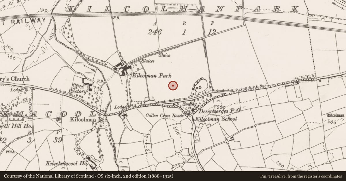Ordnance Survey six-inch map, 2nd edition (1888–1915) covering the location of Fulacht fia, Kilcolmanpark, County Cork, with a pin at the register's coordinates