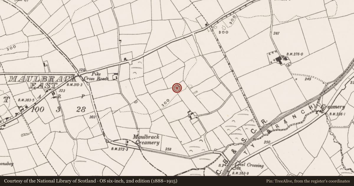 Ordnance Survey six-inch map, 2nd edition (1888–1915) covering the location of Ringfort - rath, Kilcolman, County Cork, with a pin at the register's coordinates