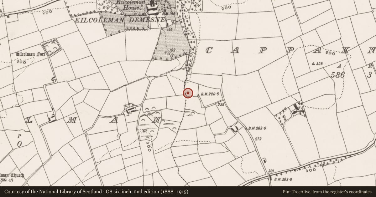 Ordnance Survey six-inch map, 2nd edition (1888–1915) covering the location of Fulacht fia, Cappaknockane, County Cork, with a pin at the register's coordinates