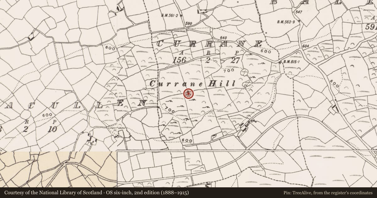 Ordnance Survey six-inch map, 2nd edition (1888–1915) covering the location of Urn burial, Currane, County Cork, with a pin at the register's coordinates