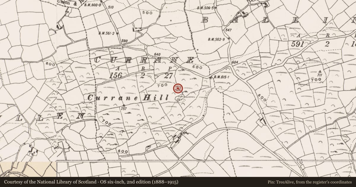 Ordnance Survey six-inch map, 2nd edition (1888–1915) covering the location of Ringfort - rath, Currane, County Cork, with a pin at the register's coordinates