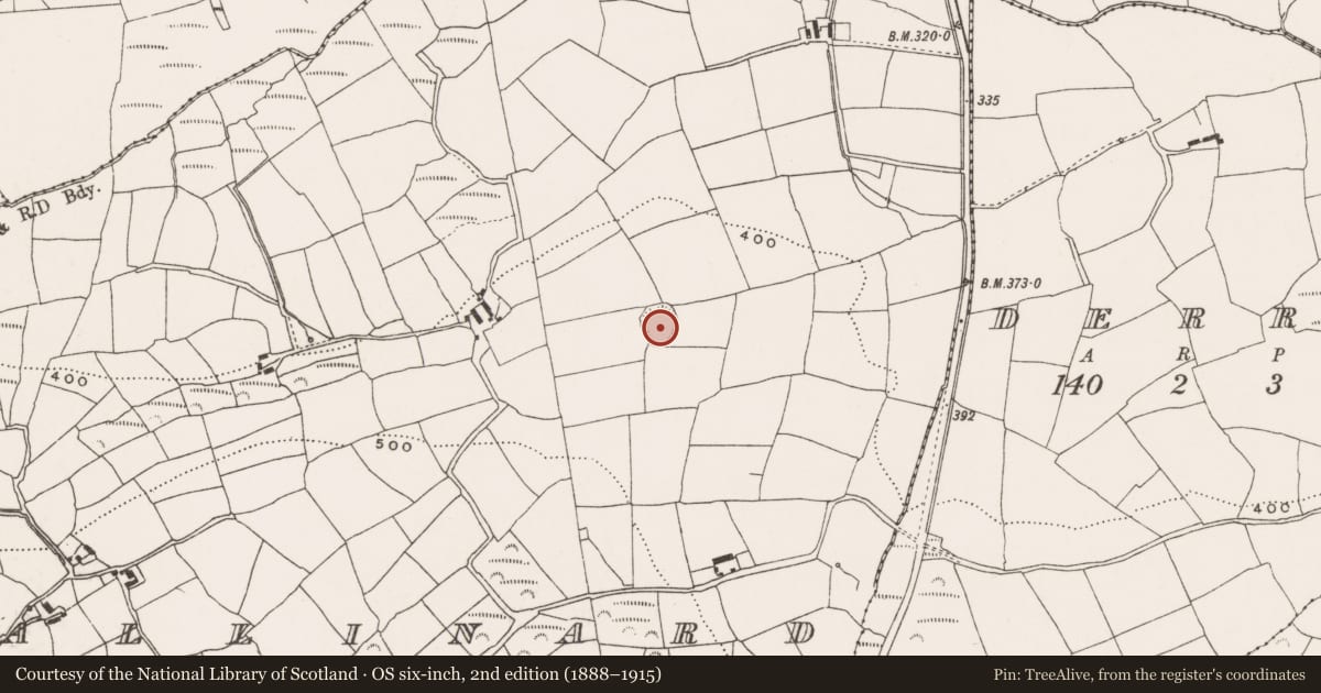 Ordnance Survey six-inch map, 2nd edition (1888–1915) covering the location of Ringfort - rath, Ballinard, County Cork, with a pin at the register's coordinates